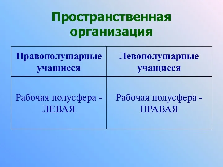 Пространственная организация