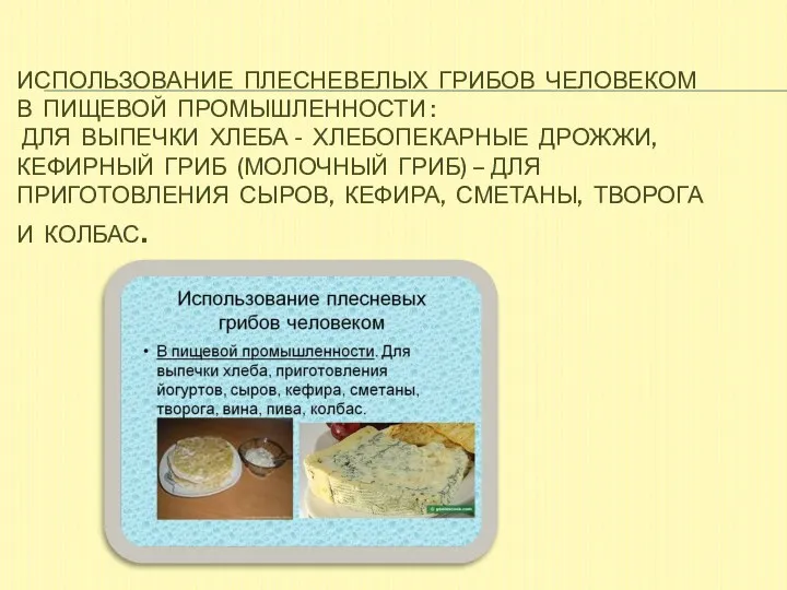 Использование плесневелых грибов человеком в пищевой промышленности : для выпечки хлеба - хлебопекарные