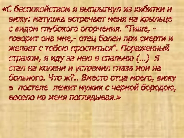 «С беспокойством я выпрыгнул из кибитки и вижу: матушка встречает