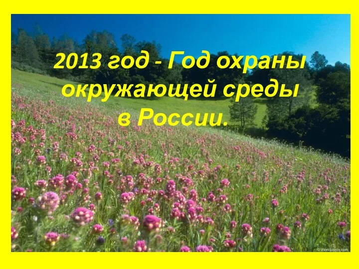 2013 год - Год охраны окружающей среды в России.
