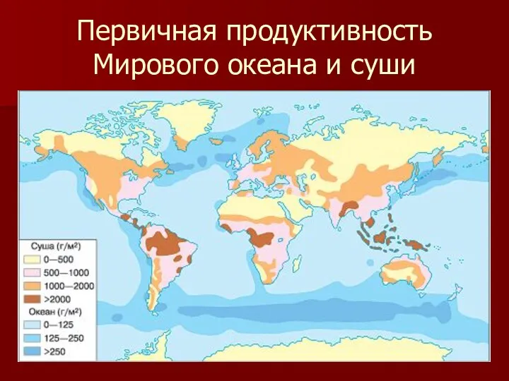 Первичная продуктивность Мирового океана и суши