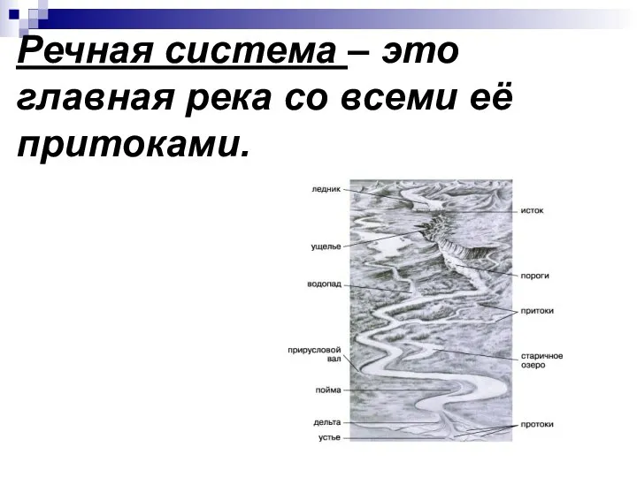 Речная система – это главная река со всеми её притоками.