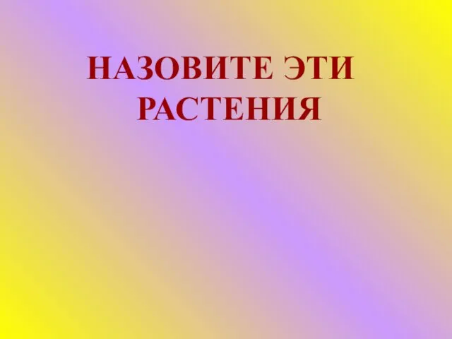 НАЗОВИТЕ ЭТИ РАСТЕНИЯ