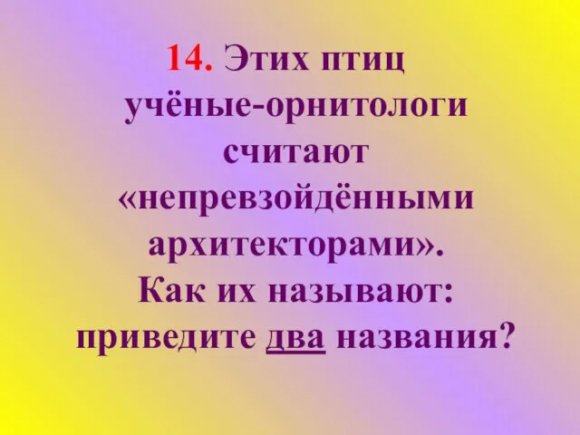 14. Этих птиц учёные-орнитологи считают «непревзойдёнными архитекторами». Как их называют: приведите два названия?