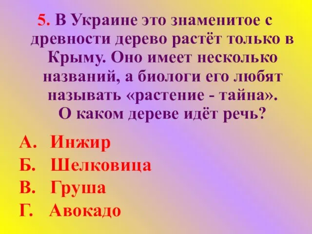 5. В Украине это знаменитое с древности дерево растёт только в Крыму. Оно