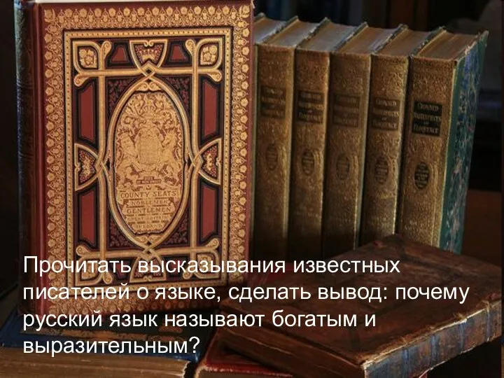 Прочитать высказывания известных писателей о языке, сделать вывод: почему русский язык называют богатым и выразительным?