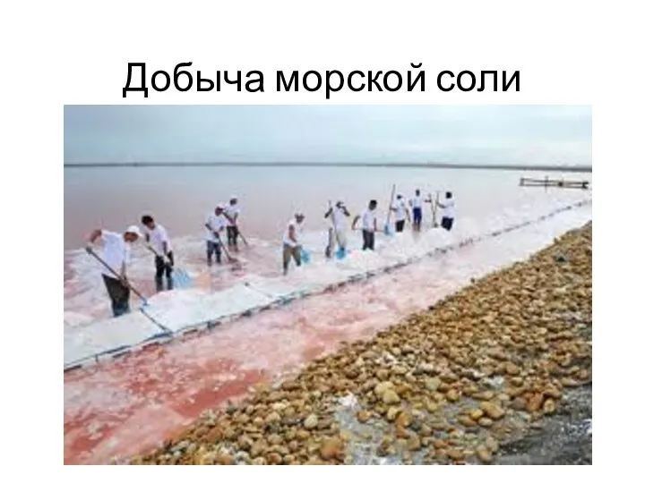 Добыча морской соли