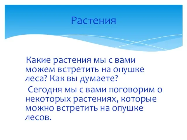 Какие растения мы с вами можем встретить на опушке леса?