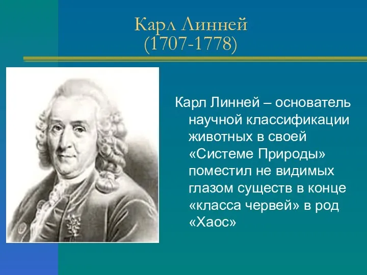 Карл Линней (1707-1778) Карл Линней – основатель научной классификации животных