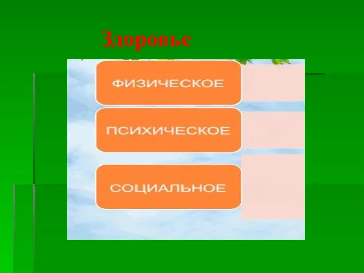 Здоровье