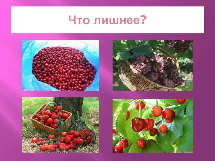 Что лишнее?