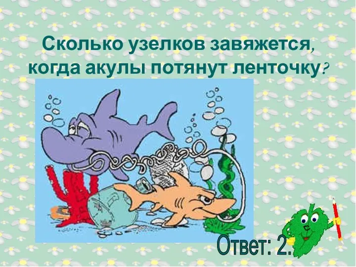 Сколько узелков завяжется, когда акулы потянут ленточку?