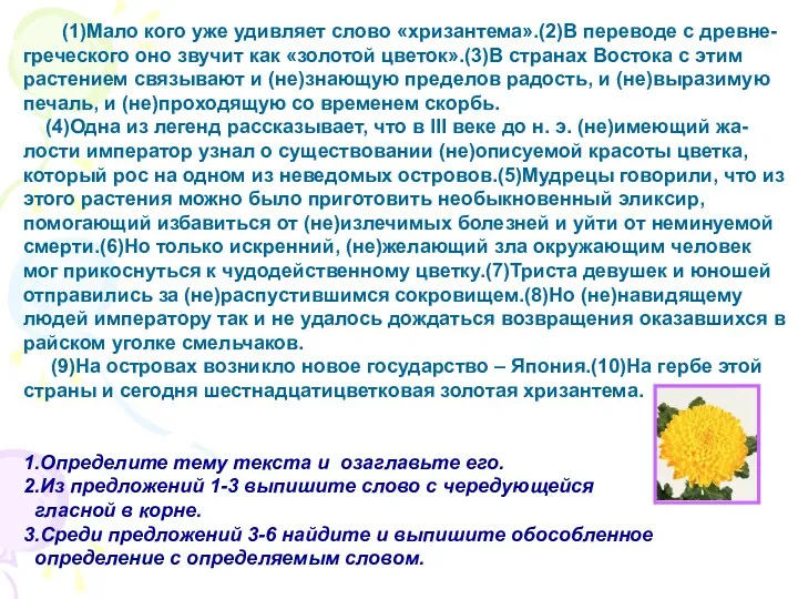 (1)Мало кого уже удивляет слово «хризантема».(2)В переводе с древне-греческого оно