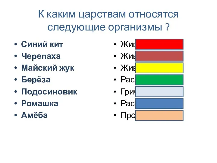 К каким царствам относятся следующие организмы ? Синий кит Черепаха