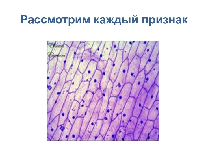 Рассмотрим каждый признак Клетка – структурная единица всех организмов ( т.е. является кирпичиком любого живого организма)