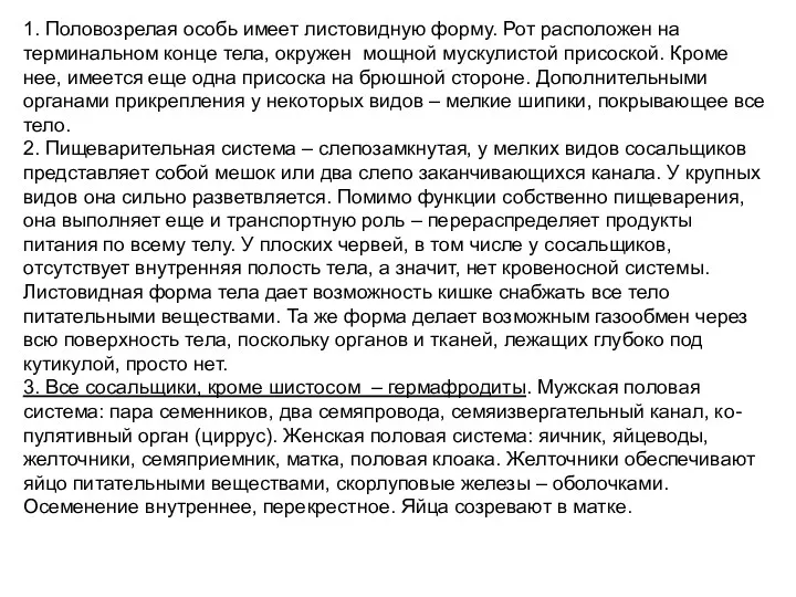 1. Половозрелая особь имеет листовидную форму. Рот расположен на терминальном