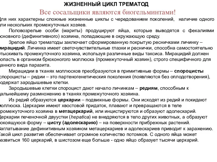 ЖИЗНЕННЫЙ ЦИКЛ ТРЕМАТОД Все сосальщики являются биогельминтами! Для них характерны