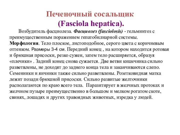 Печеночный сосальщик (Fasciola hepatica). Возбудитель фасциолеза. Фасциолез (fasciolosis) - гельминтоз