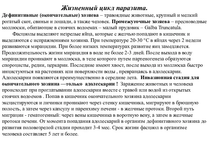 Жизненный цикл паразита. Дефинитивные (окончательные) хозяева – травоядные животные, крупный и мелкий рогатый