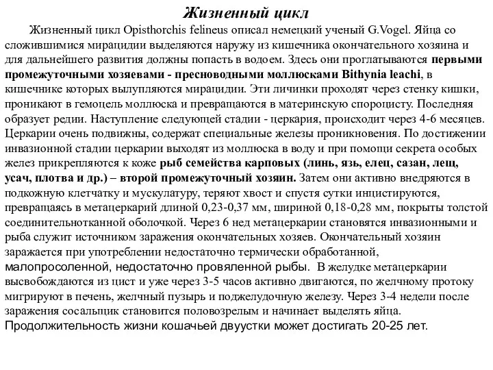 Жизненный цикл Жизненный цикл Opisthоrchis felineus описал немецкий ученый G.Vogel. Яйца со сложившимися