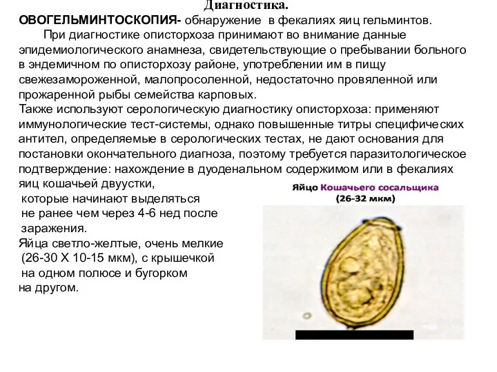 Диагностика. ОВОГЕЛЬМИНТОСКОПИЯ- обнаружение в фекалиях яиц гельминтов. При диагностике описторхоза