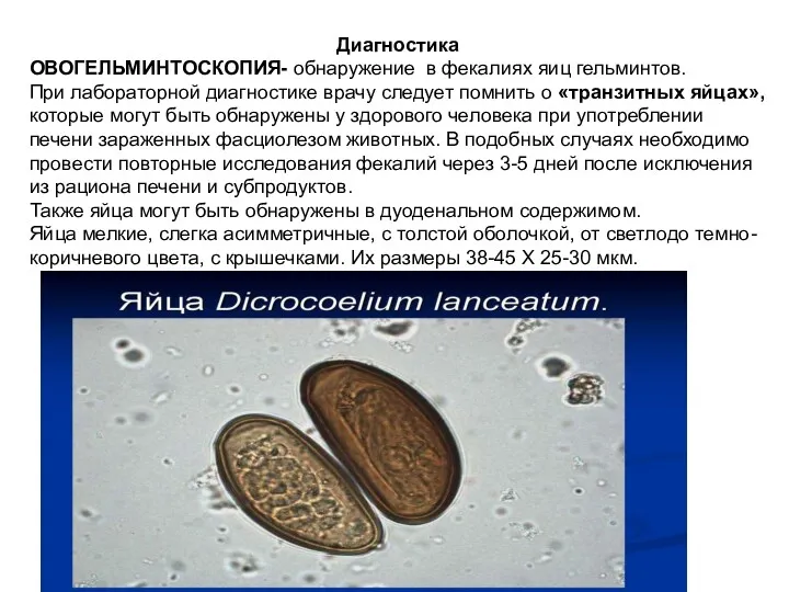 Диагностика ОВОГЕЛЬМИНТОСКОПИЯ- обнаружение в фекалиях яиц гельминтов. При лабораторной диагностике врачу следует помнить