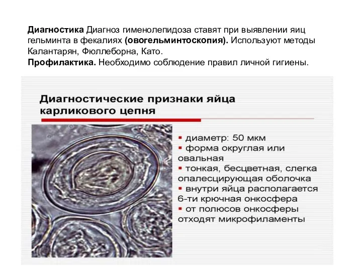 Диагностика Диагноз гименолепидоза ставят при выявлении яиц гельминта в фекалиях