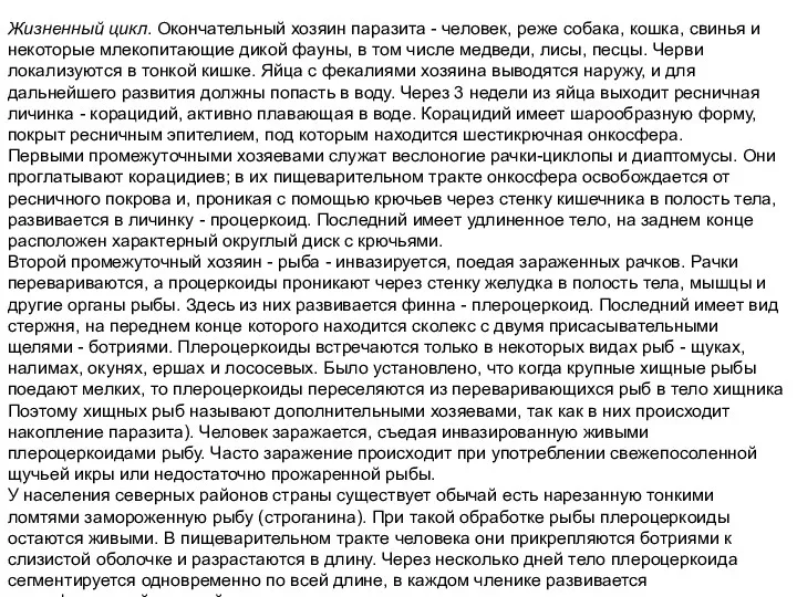 Жизненный цикл. Окончательный хозяин паразита - человек, реже собака, кошка, свинья и некоторые