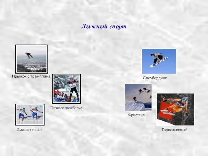 Лыжный спорт Прыжок с трамплина Лыжное двоеборье Лыжные гонки Сноубординг Фристайл Горнолыжный