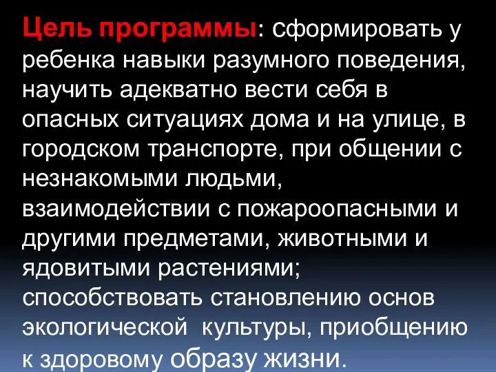 Цель программы: сформировать у ребенка навыки разумного поведения, научить адекватно вести себя в