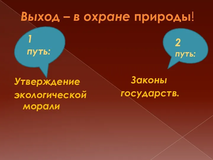 Выход – в охране природы! Утверждение экологической морали Законы государств. 1 путь: 2 путь: