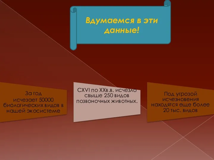 Вдумаемся в эти данные!