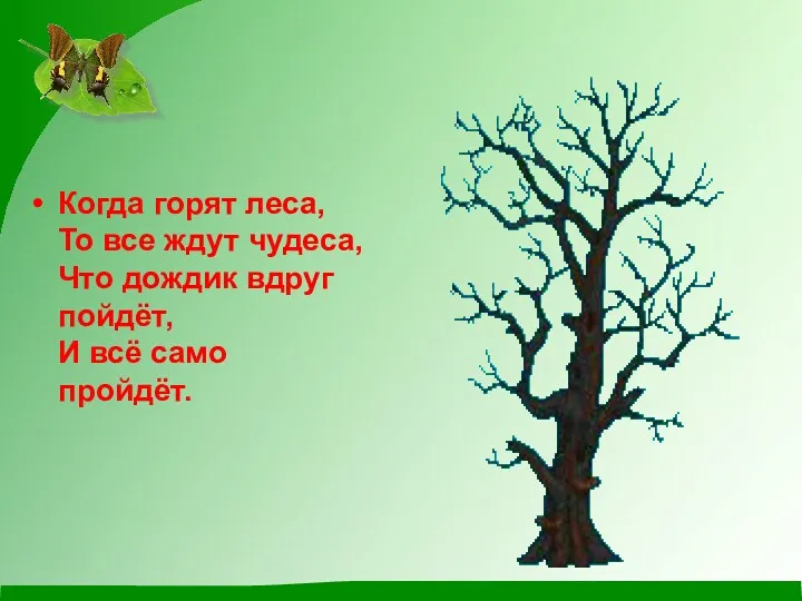 Когда горят леса, То все ждут чудеса, Что дождик вдруг пойдёт, И всё само пройдёт.