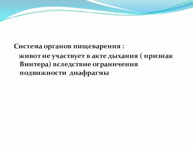 Система органов пищеварения : живот не участвует в акте дыхания