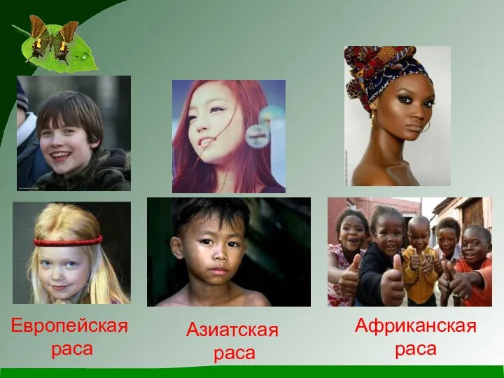 Европейская раса Азиатская раса Африканская раса