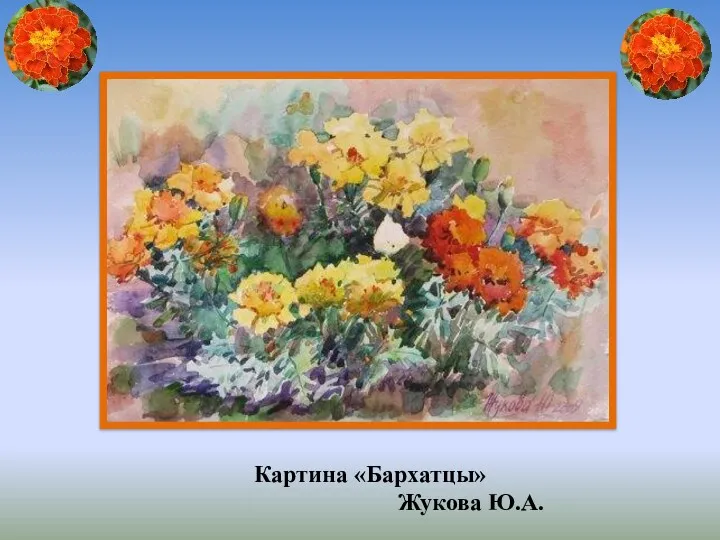Картина «Бархатцы» Жукова Ю.А.