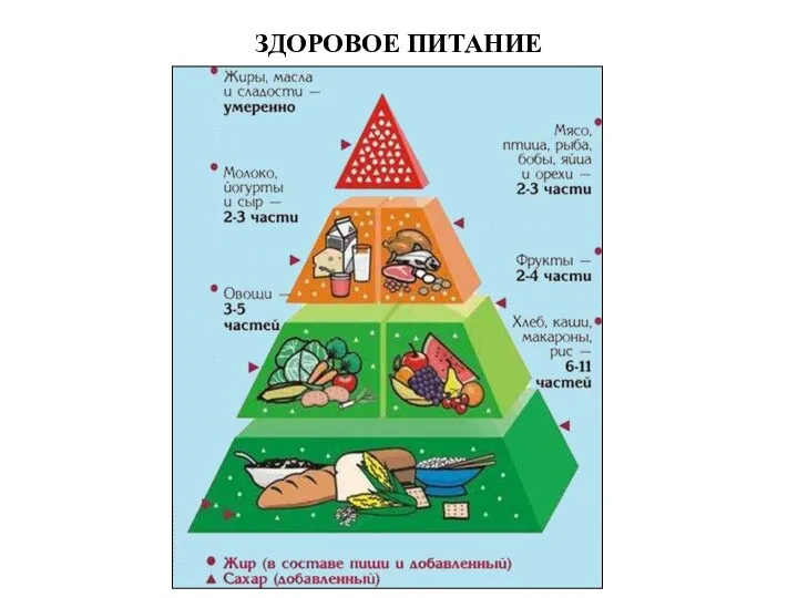 ЗДОРОВОЕ ПИТАНИЕ