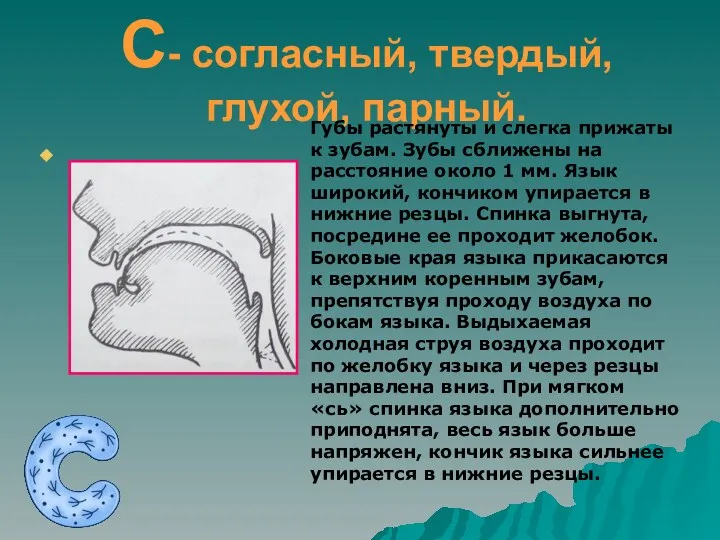 С- согласный, твердый, глухой, парный. Губы растянуты и слегка прижаты