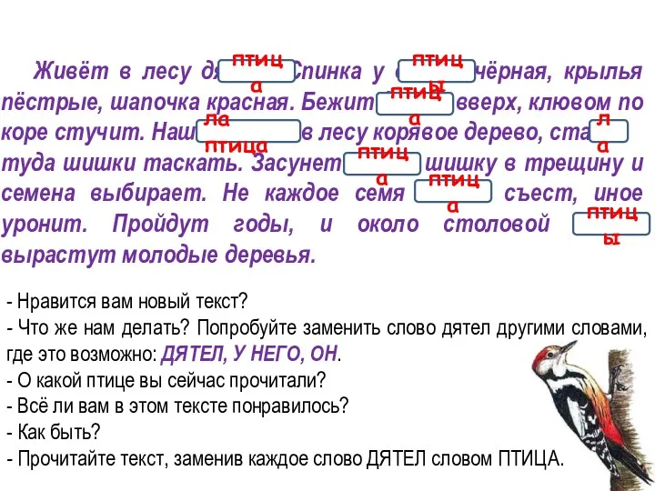 Живёт в лесу дятел. Спинка у дятла чёрная, крылья пёстрые, шапочка красная. Бежит