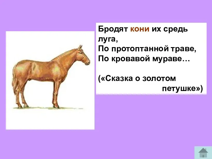 Бродят кони их средь луга, По протоптанной траве, По кровавой мураве… («Сказка о золотом петушке»)