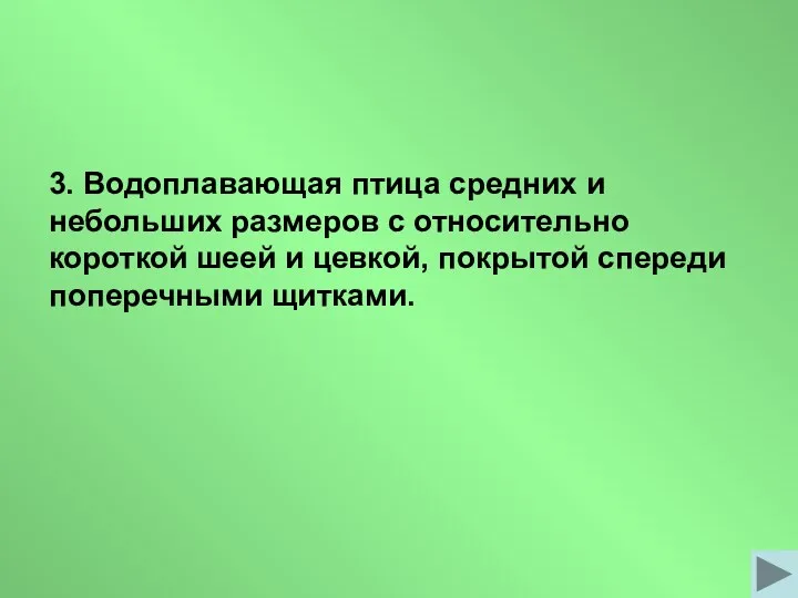 3. Водоплавающая птица средних и небольших размеров с относительно короткой