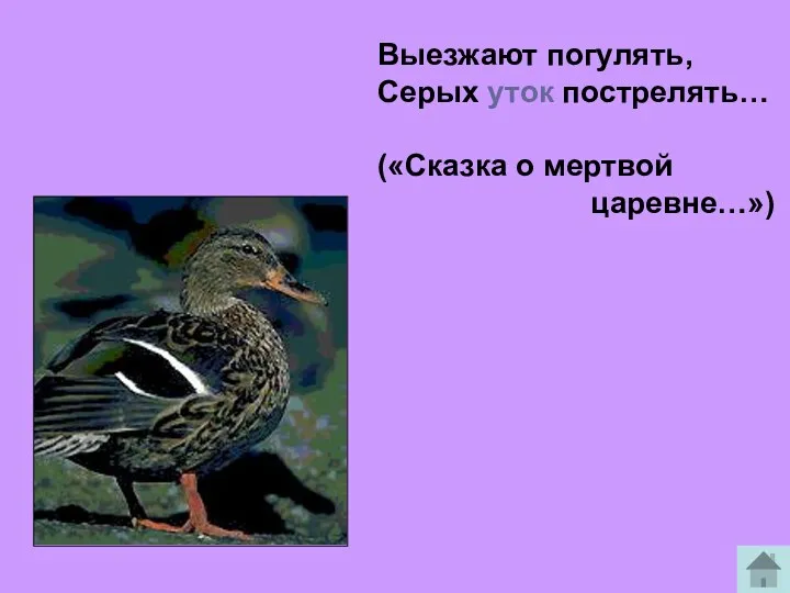 Выезжают погулять, Серых уток пострелять… («Сказка о мертвой царевне…»)