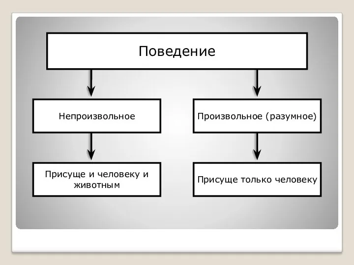 Поведение Произвольное (разумное) Непроизвольное Присуще и человеку и животным Присуще только человеку