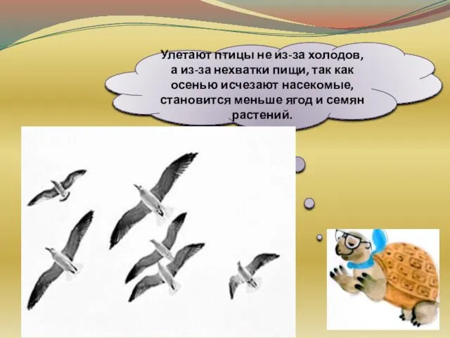 Улетают птицы не из-за холодов, а из-за нехватки пищи, так