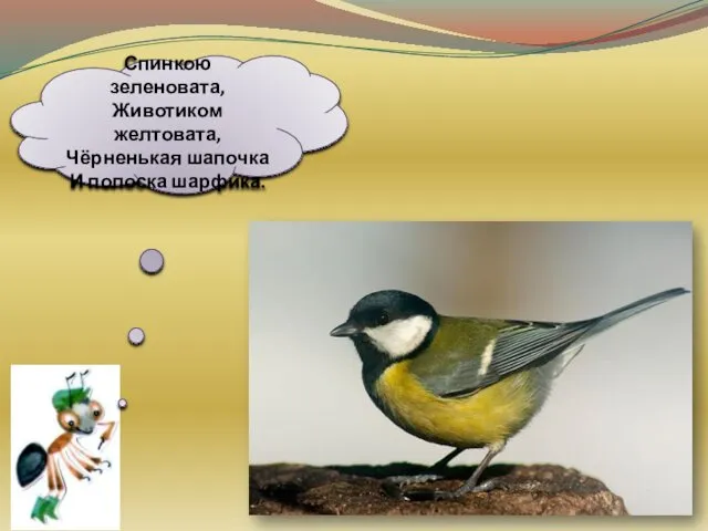 Спинкою зеленовата, Животиком желтовата, Чёрненькая шапочка И полоска шарфика.