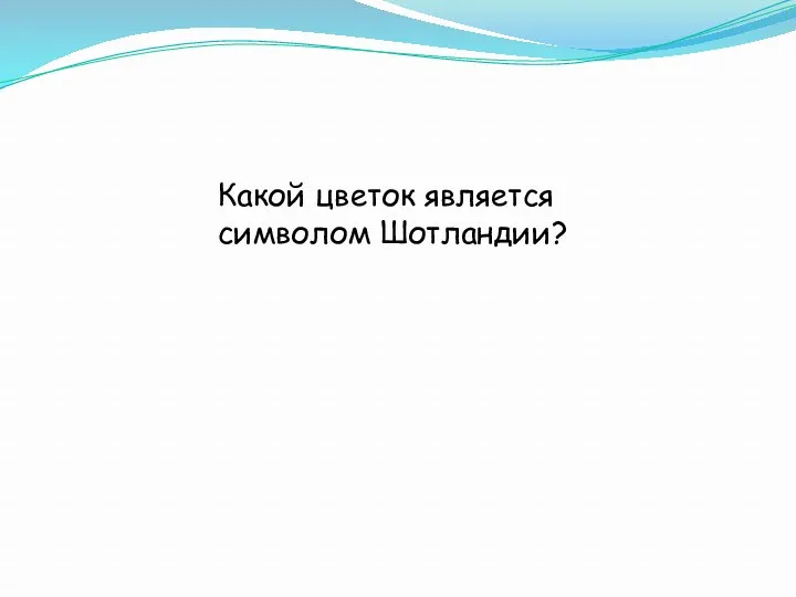 Какой цветок является символом Шотландии?