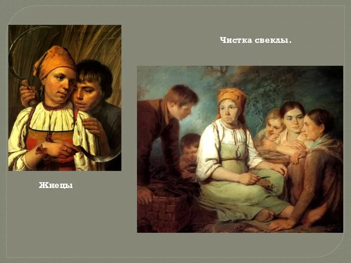 Захарка, 1825 Жнецы Чистка свеклы.