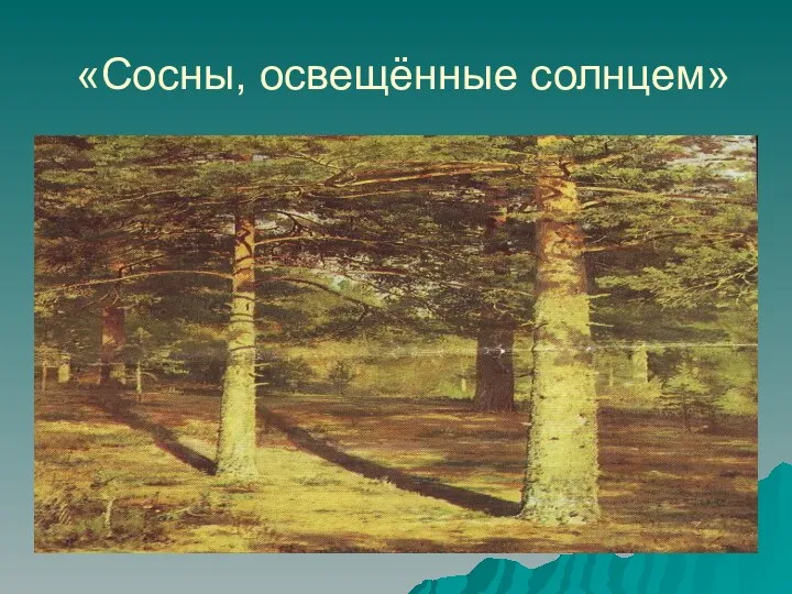 «Сосны, освещённые солнцем»