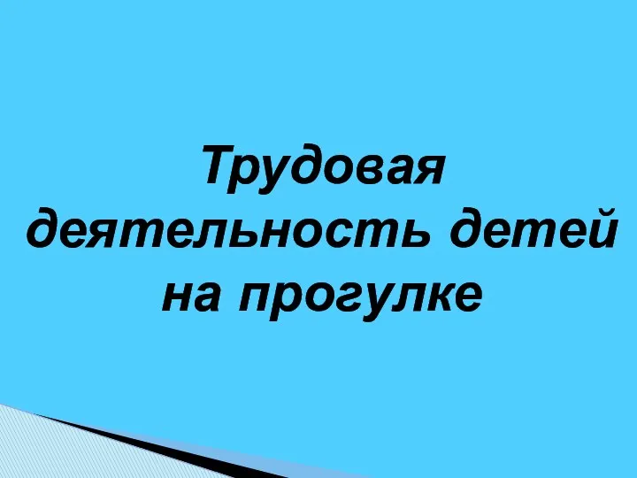 Трудовая деятельность детей на прогулке