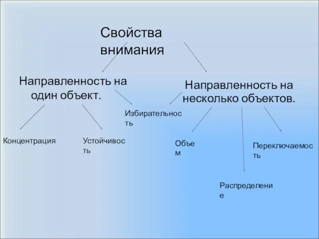 Направленность на один объект. Направленность на несколько объектов. Концентрация Устойчивость Избирательность Переключаемость Распределение Объем Свойства внимания